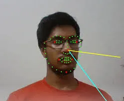Facial Recognition